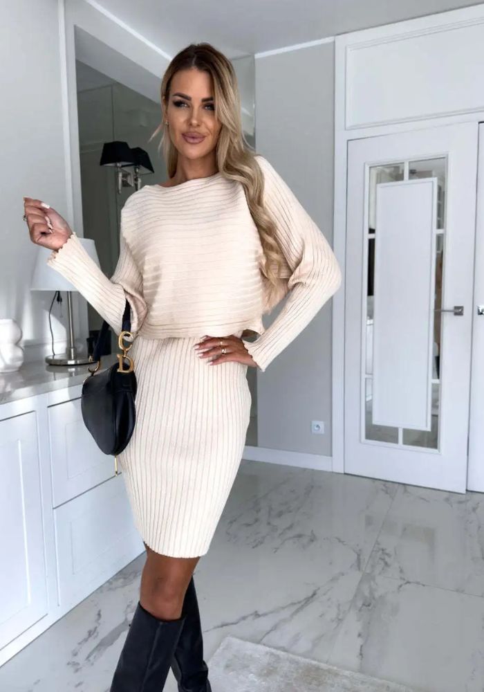 Selene -Stylish Two-piece Set (Dress and Sweater)